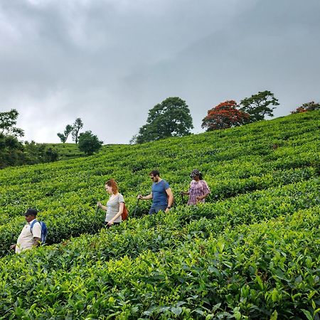 Amber Dale Luxury Hotel & Spa, Munnar Ngoại thất bức ảnh