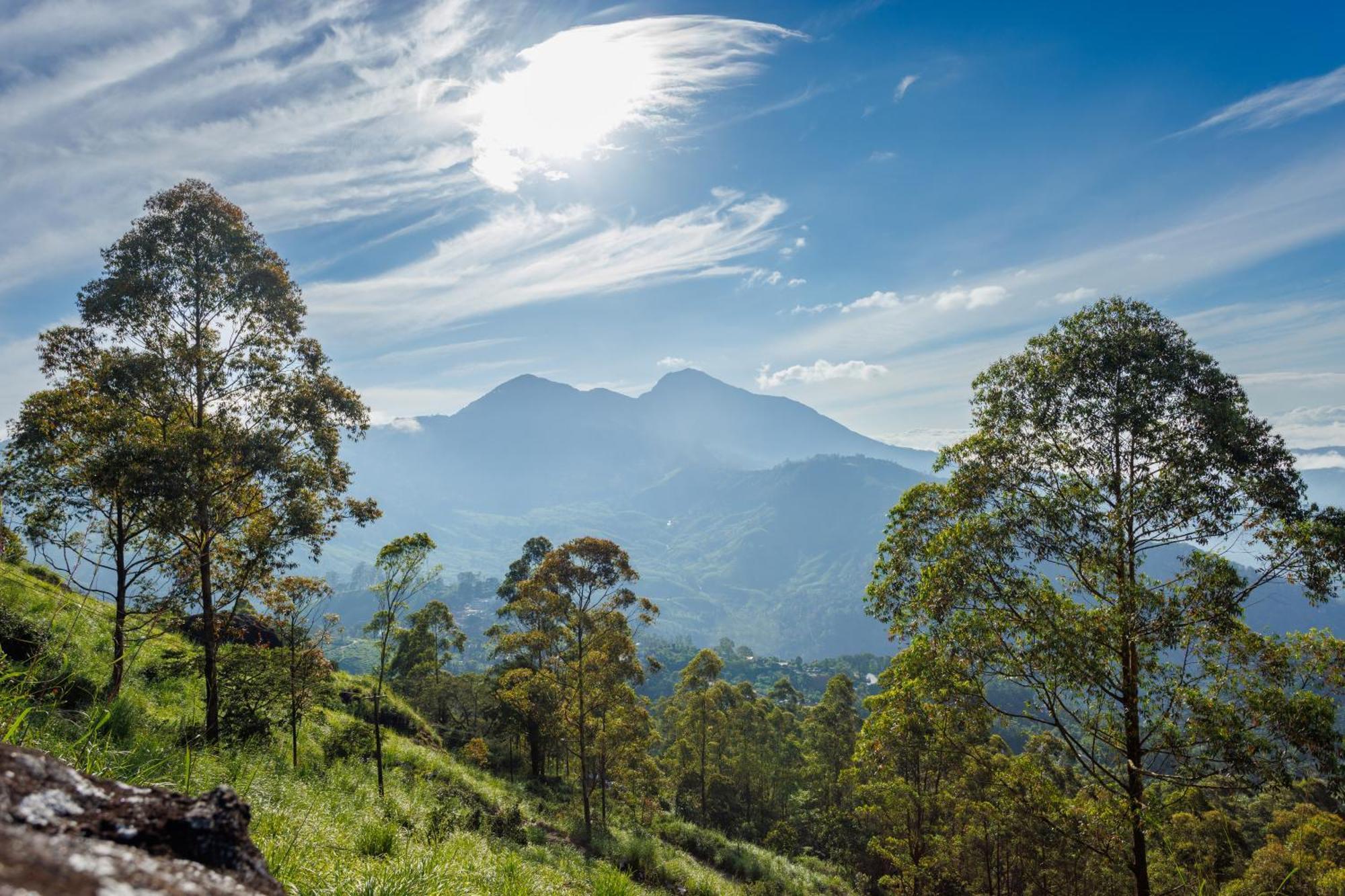 Amber Dale Luxury Hotel & Spa, Munnar Ngoại thất bức ảnh